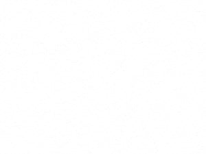 A1